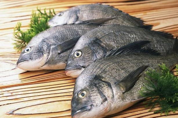 超声骨密度仪检测发声多吃鱼能够预防骨质疏松症对身体好