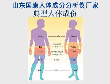 山东国康人体成分分析仪厂家告诉您人体的成分