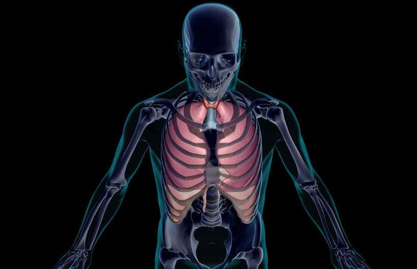 骨密度仪生产厂家告诉你“你的骨头是活的会呼吸”