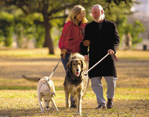 骨密度仪厂家提示经常散步能够提高骨密度,常遛狗活得长
