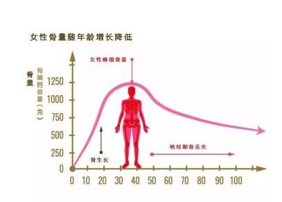 骨密度仪-什么原因导致骨质疏松偏爱中国女性骨密度正常值？