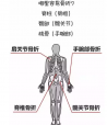 骨密度检测分析仪教你如何看懂骨密度检测报告单